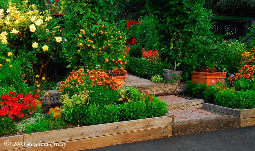 organic, vegetables, edible landscaping, Oak Park, front yard, Bass,