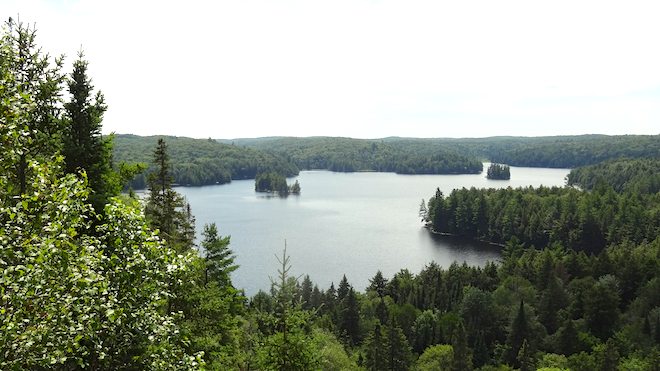 Ridge view on Algonquin Park Track and Tower trail