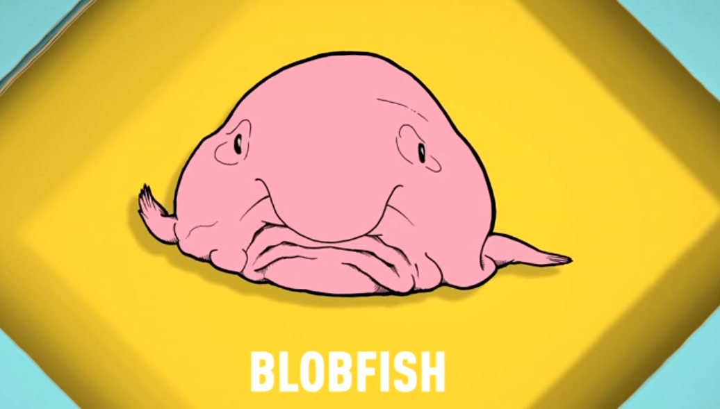 yellow blob fish