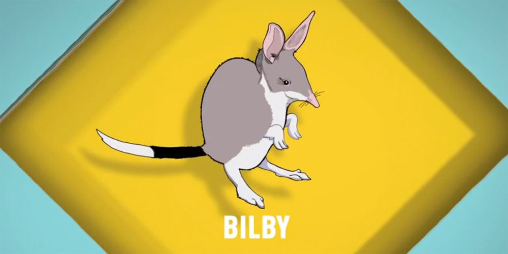 Songs for Unusual Creatures: Bilby