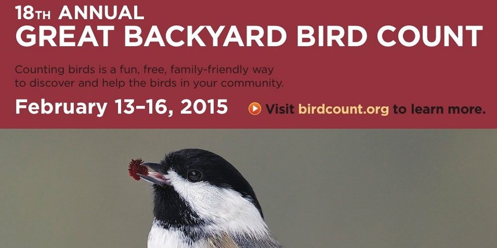 Great Backyard Bird Count