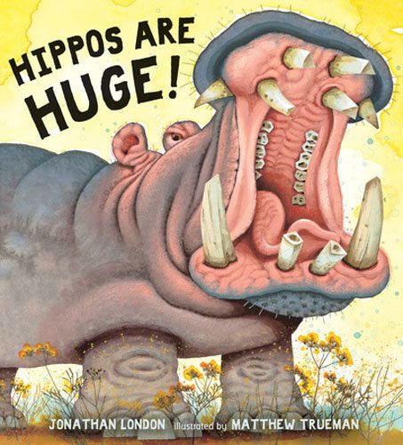 Hippos Are Huge! by Jonathan London, illustrated by Matthew Trueman