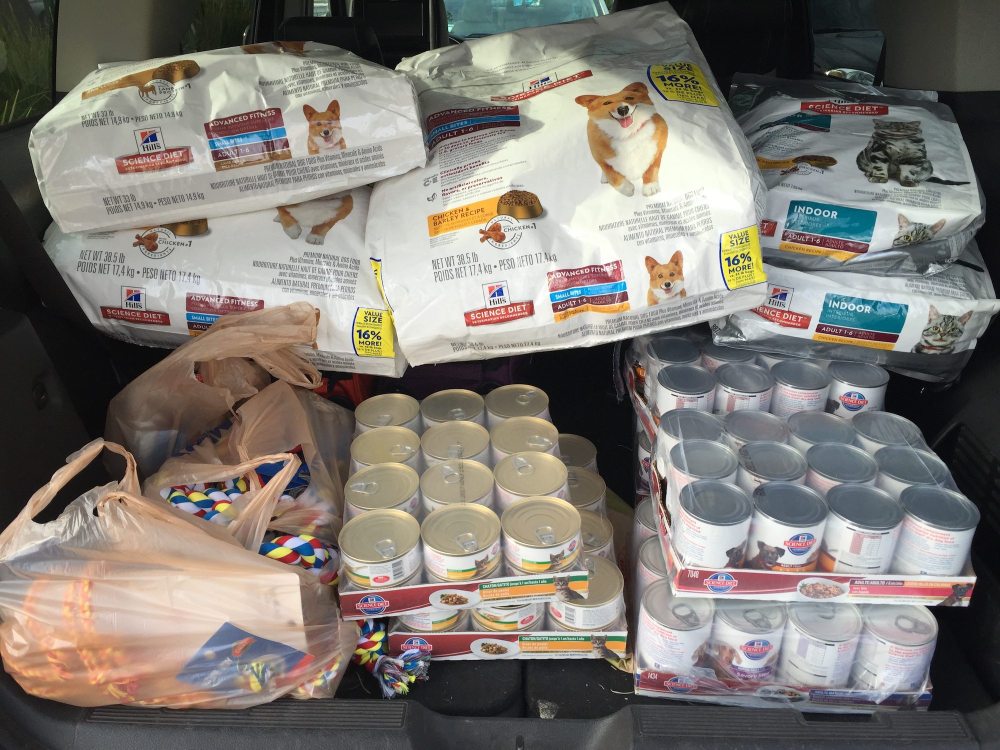 What the back of our car looked like with $500 worth of pet food and toys.