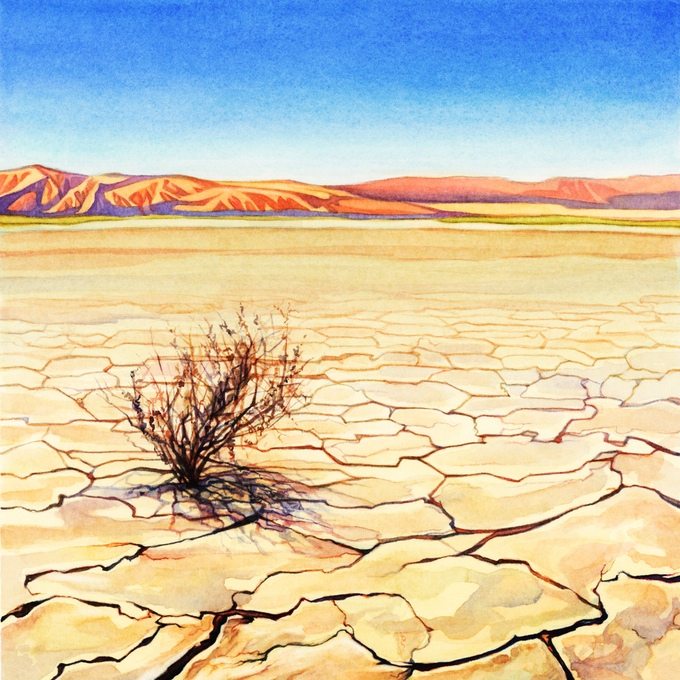 Evolution Climate desert
