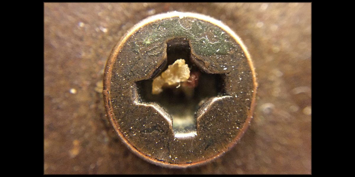 Close up of the head of a brass phillips screw. The 7mm screw head fills the image verticaly.