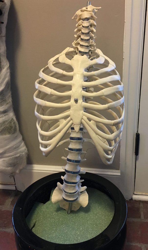 Haunted Bone Garden - Halloween Decorating Craft - GeekDad