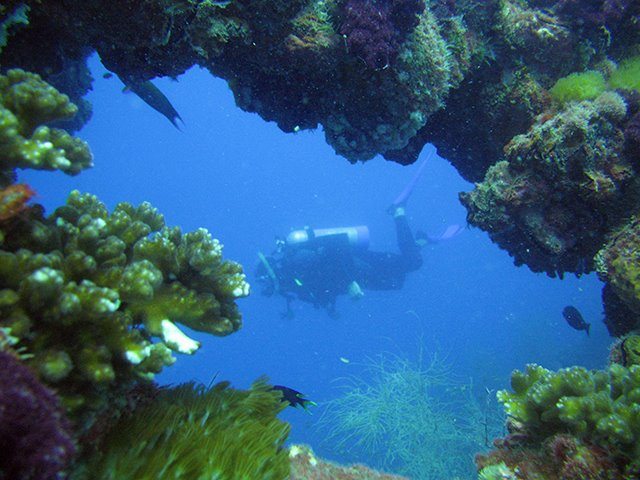 junior scuba diving great barrier reef