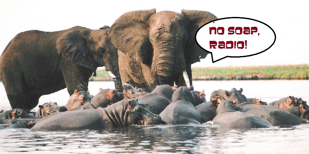 elephants and hippos in the water