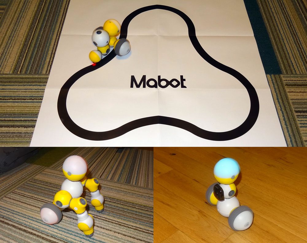 Mabot models