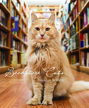 Bookstore Cats, Image: Glitterati Incorporated