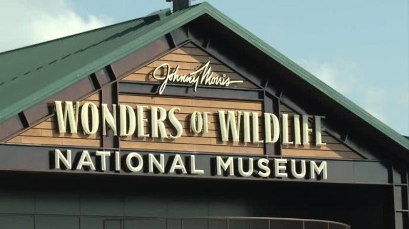 Wonders of Wildlife Is a Family Conservation Destination - GeekDad