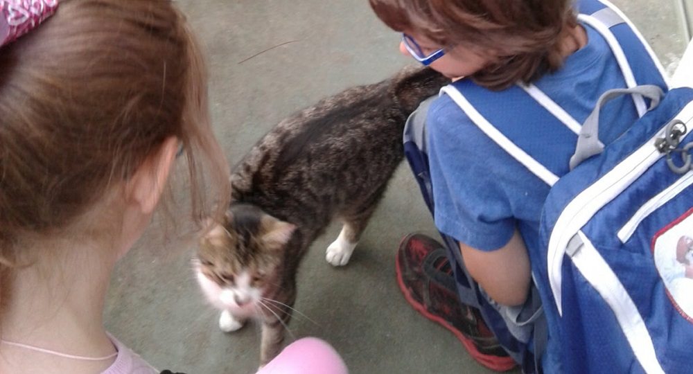 Two kids petting a striped housecat on their front porch.