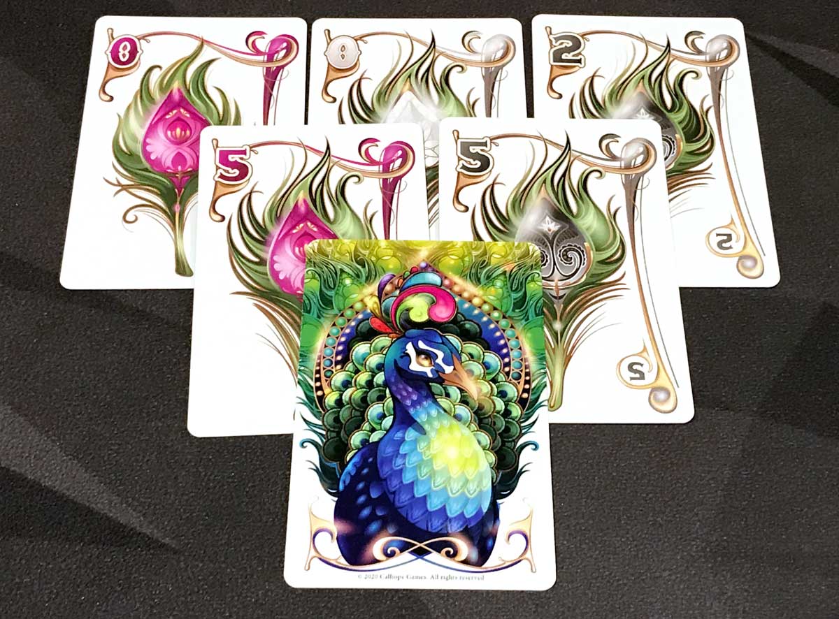 Enchanted Plumes finished peacock