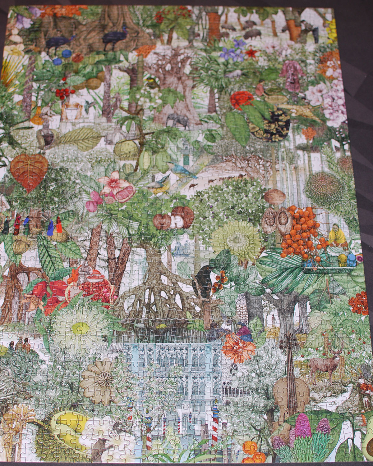 Around the World in 50 Trees puzzle