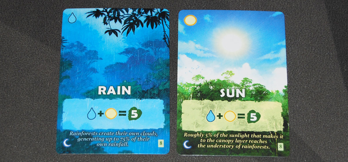 Canopy rain and sun cards