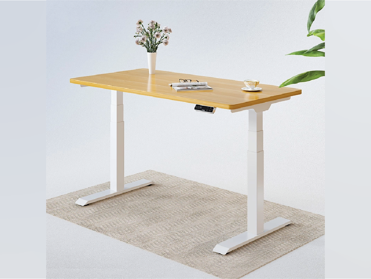 FlexiSpot E7 frame + Bamboo series standing desk