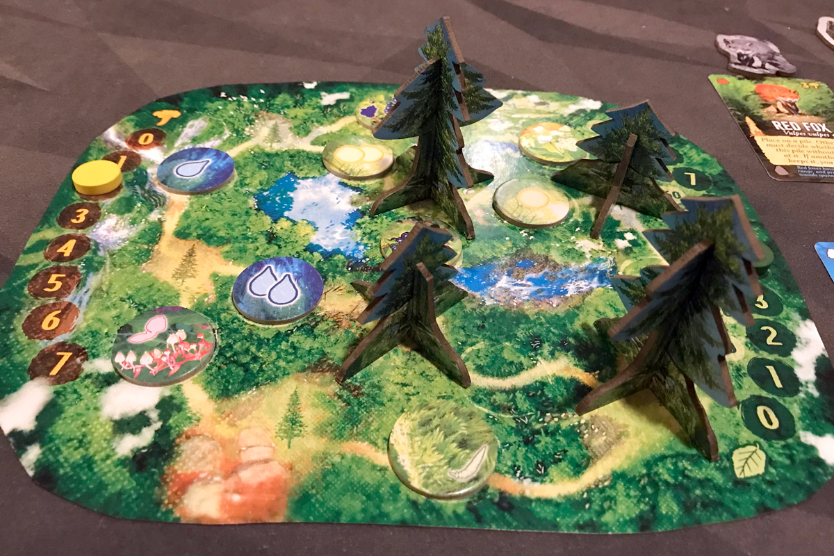 Canopy: Evergreen forest board with tokens and trees