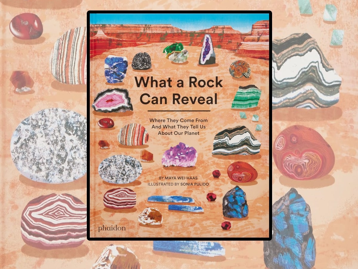 What a Rock Can Reveal Front cover