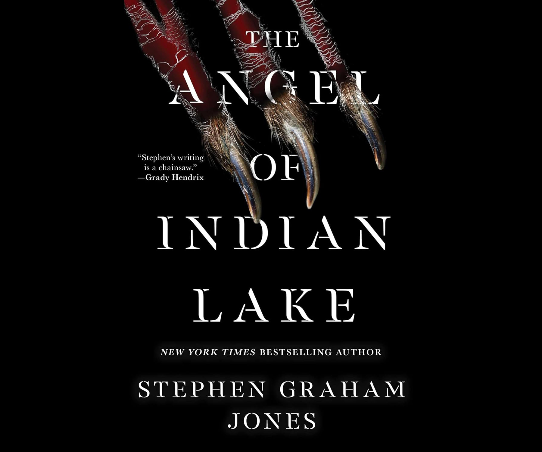 angel of indian lake cover image